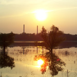 flood1